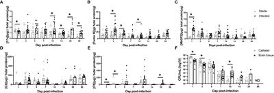 C1q is elevated during chronic Staphylococcus epidermidis central nervous system catheter infection